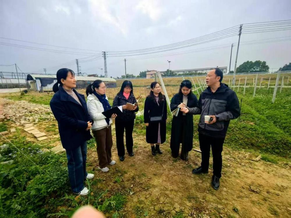 微信图片_20260206105252_45_2